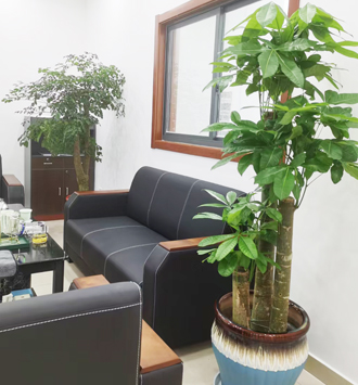 �����̻�����ֲ��